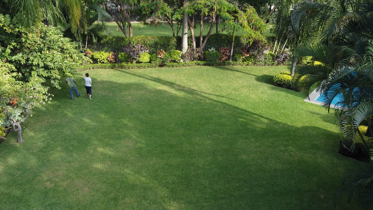 Photo of Outdoor in Tezoyuca