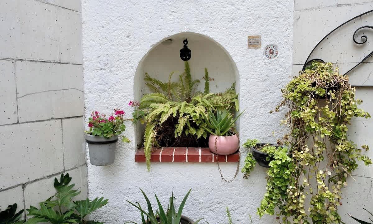 Photo of Outdoor in La Condesa