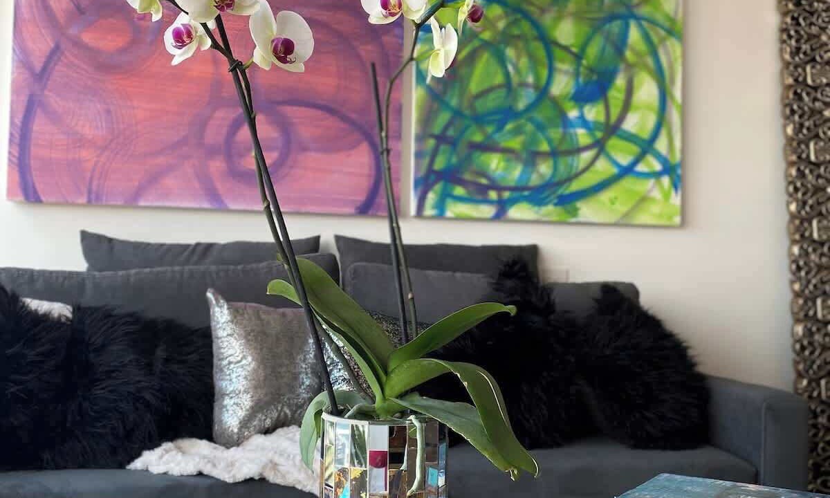 Photo of Livingroom in Granada