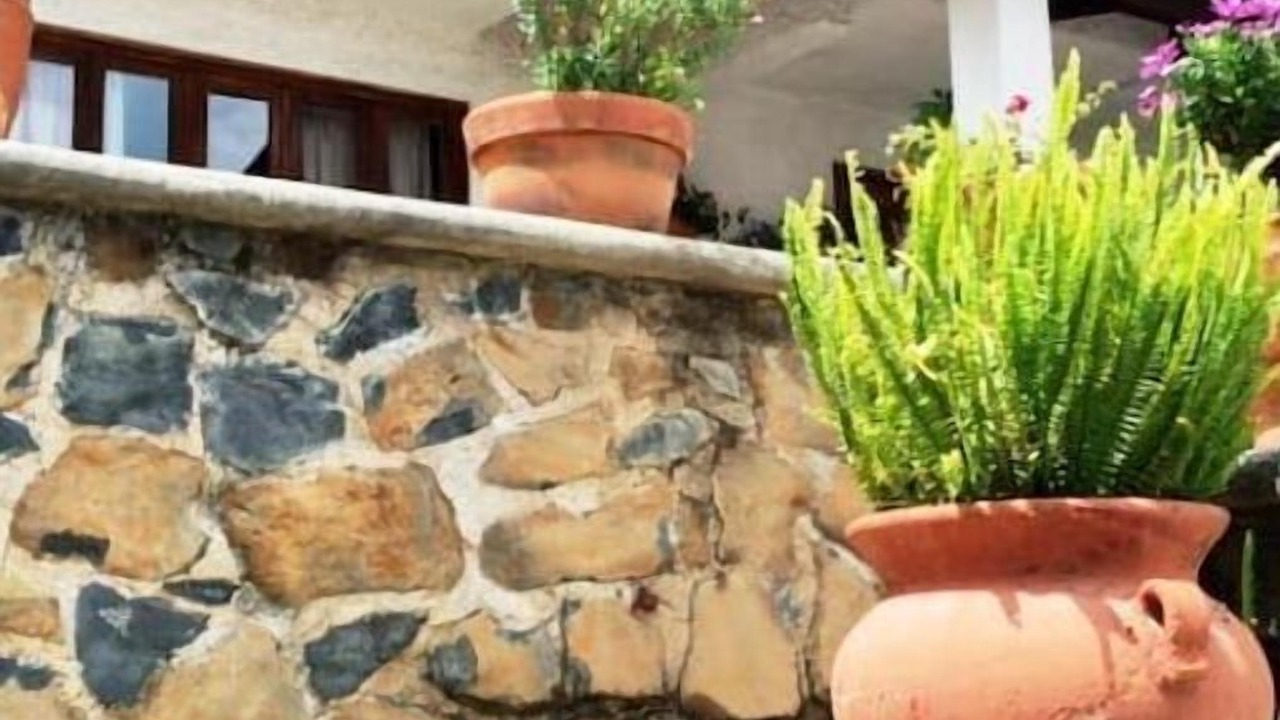 Photo of Outdoor in Tapalpa