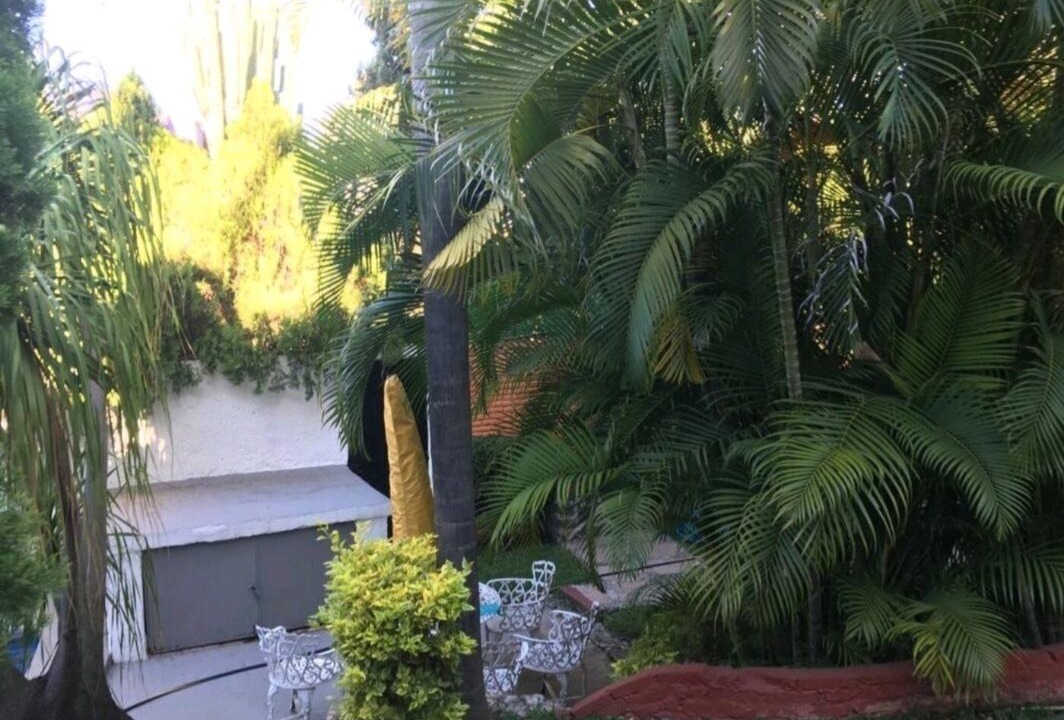 Photo of Outdoor in Cuernavaca