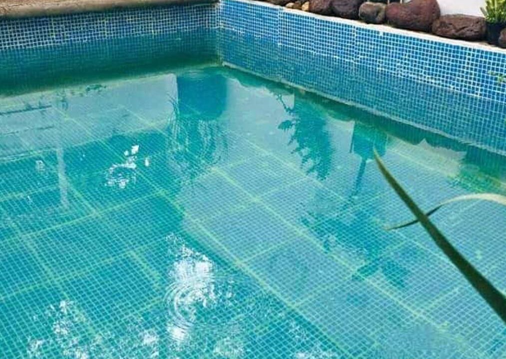 Photo of Outdoor in Oaxaca