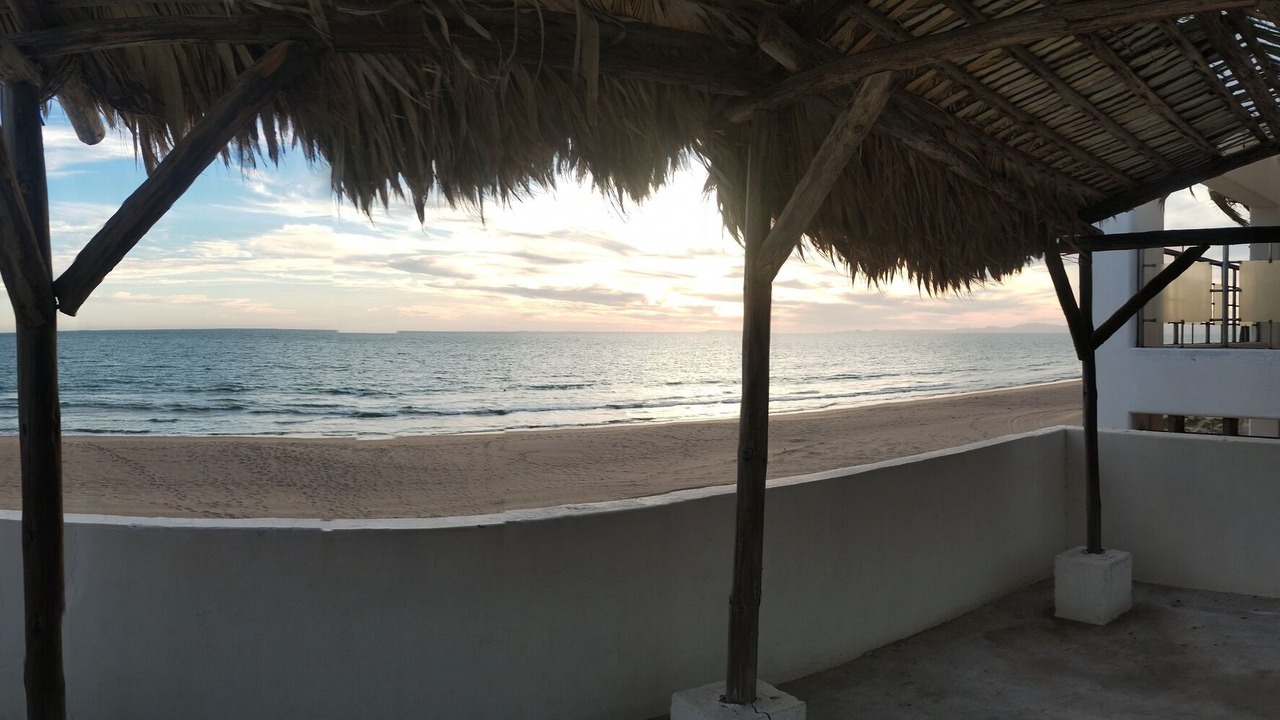 Photo of Others in Bahia Kino