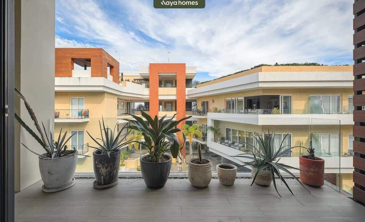 Photo of Outdoor in Emiliano Zapata
