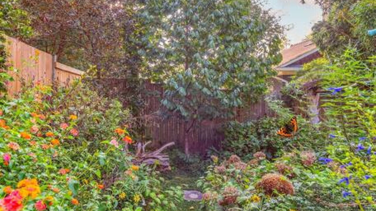 Photo of Outdoor in Belmont - Hillsboro