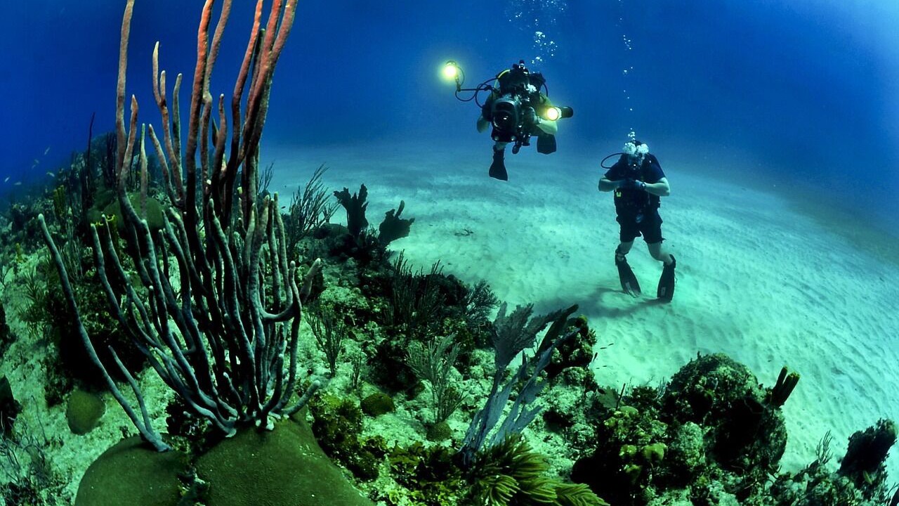 Photo of Others in Puerto Penasco