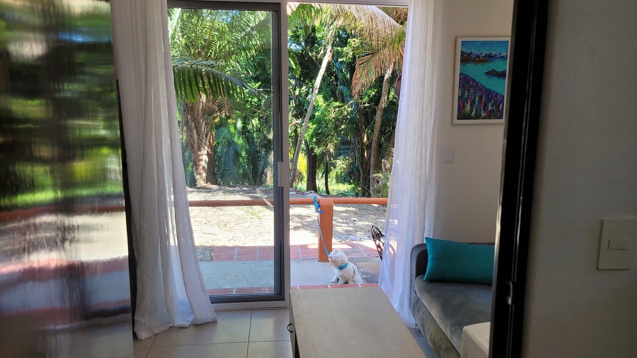Photo of Others in Chacala