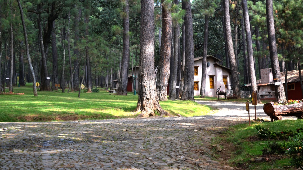 Photo of Outdoor in Mazamitla