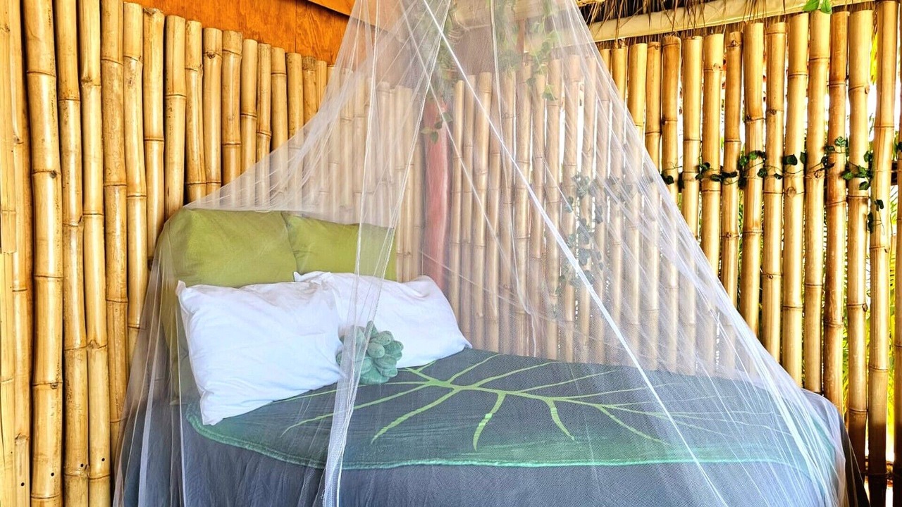 Photo of Bedroom in Downtown Puerto Vallarta