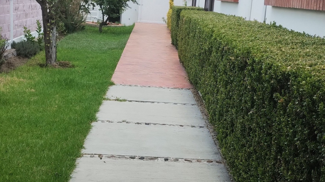 Photo of Outdoor in San Martin de las Piramides