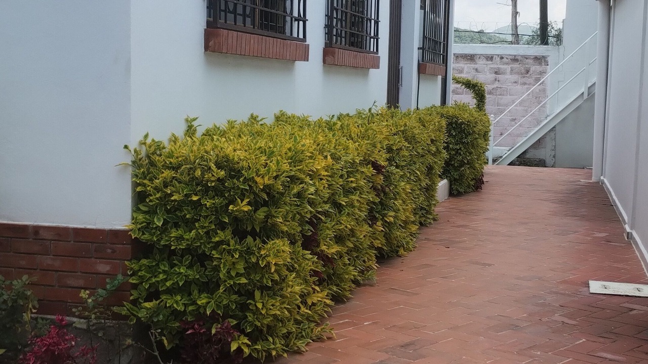 Photo of Outdoor in San Martin de las Piramides