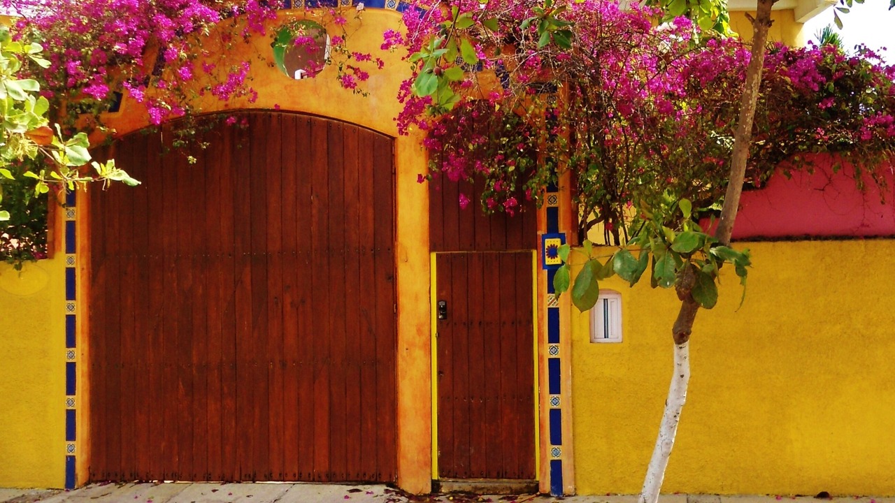 Photo of Outdoor in San Patricio Melaque