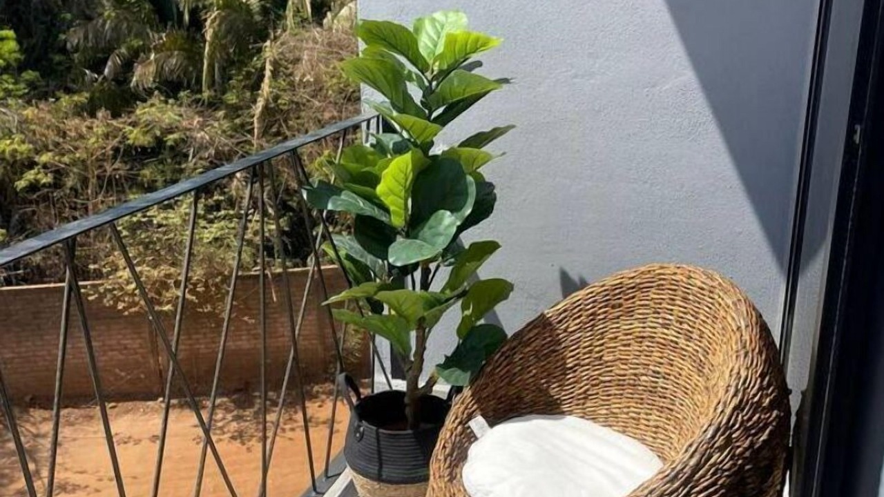 Photo of Outdoor in La Penita de Jaltemba