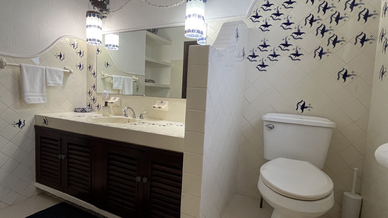 Photo of Bathroom in Puerto Vallarta