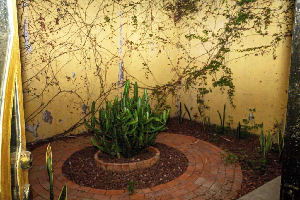 Photo of Outdoor in San Agustin