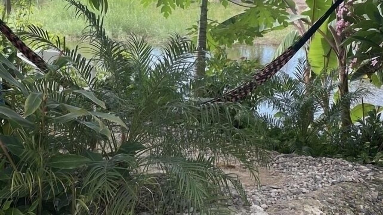 Photo of Outdoor in La Penita de Jaltemba