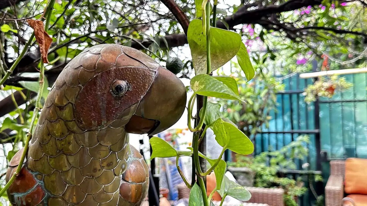 Photo of Outdoor in Guadalajara