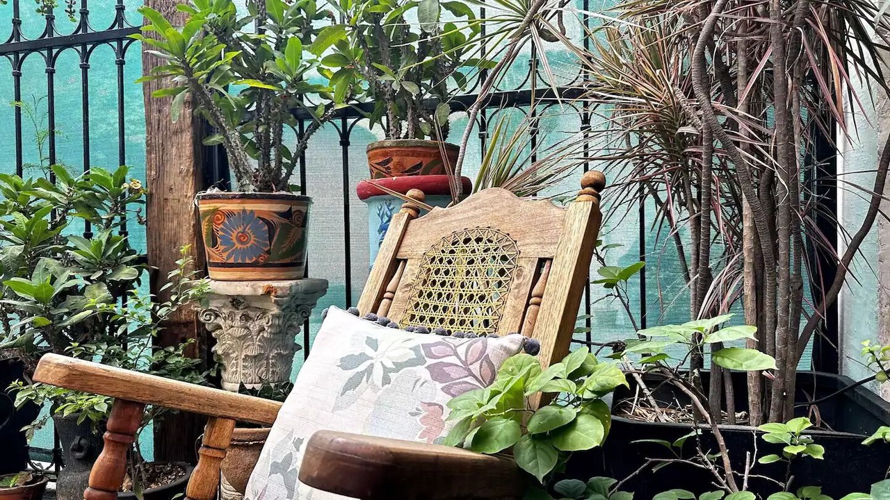Photo of Outdoor in Guadalajara