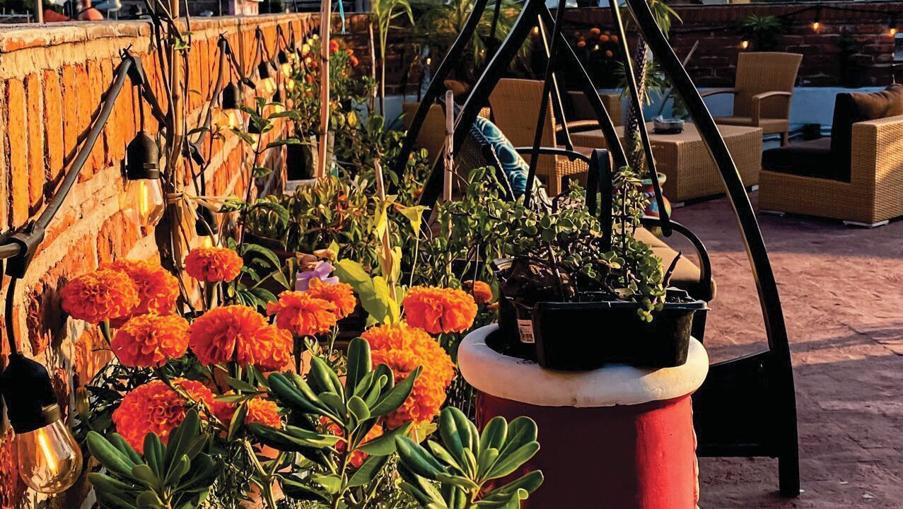 Photo of Outdoor in San Pedro Tlaquepaque