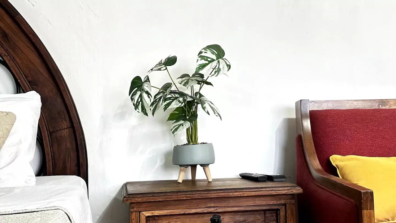 Photo of Bedroom in San Pedro Tlaquepaque