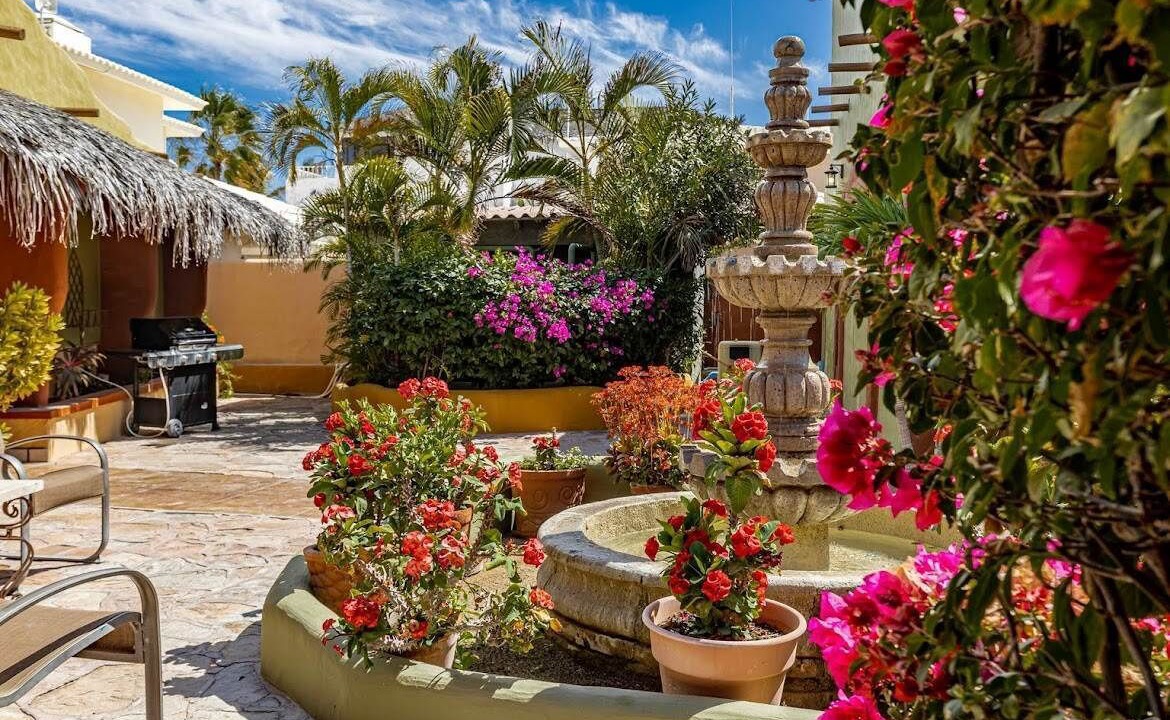 Photo of Outdoor in Los Barriles