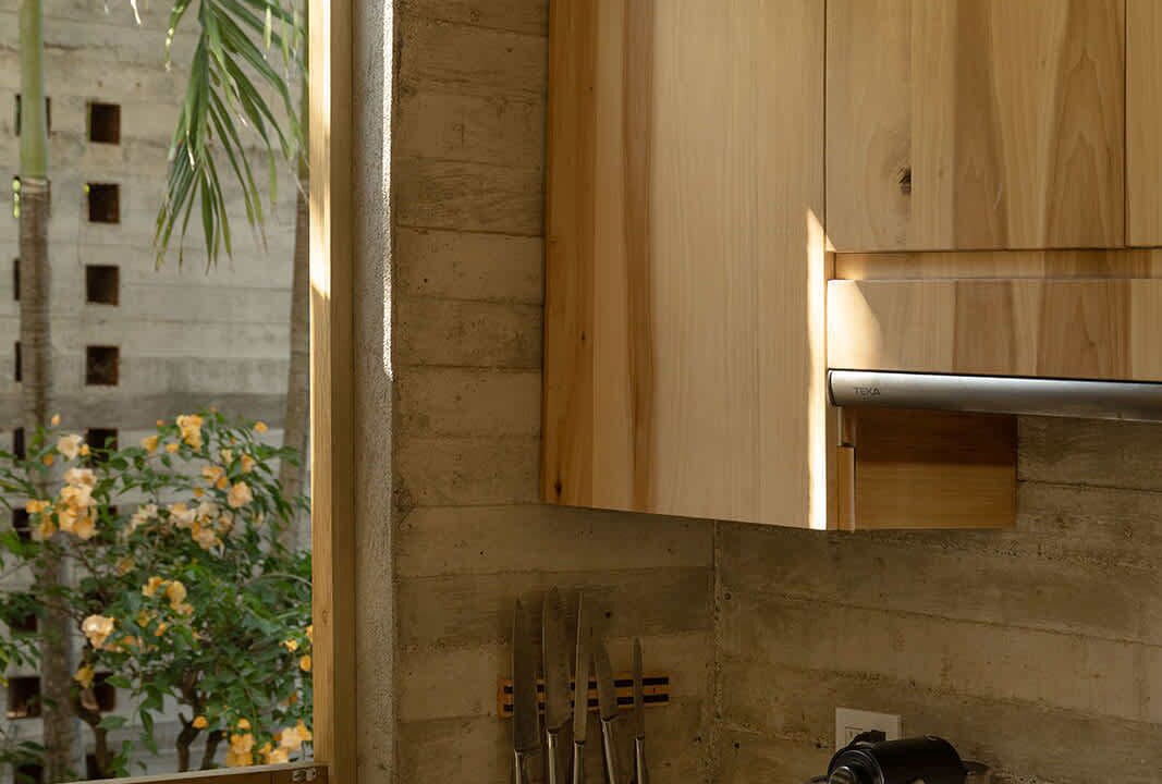 Photo of Kitchen in Saladita