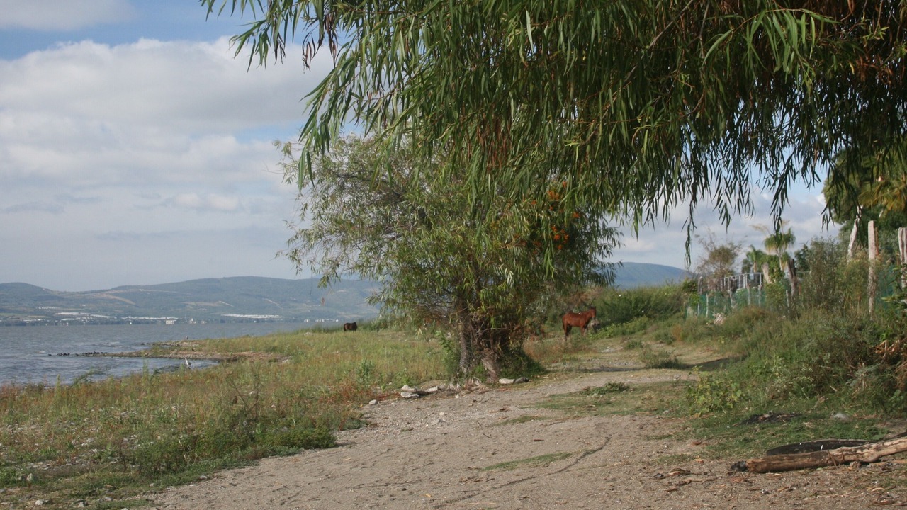 Photo of Outdoor in Los Sabinos