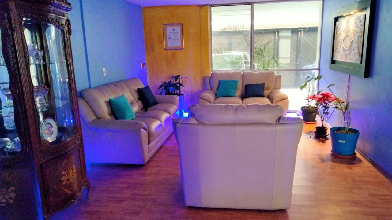 Photo of Livingroom in Coyoacan