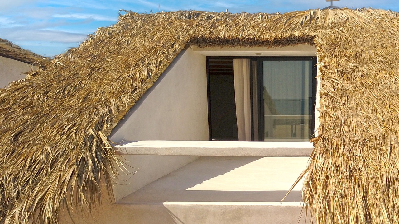 Photo of Outdoor in El Azufre