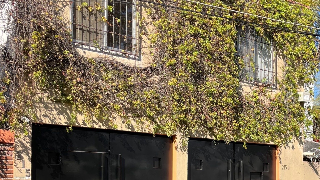 Photo of Outdoor in Cuernavaca