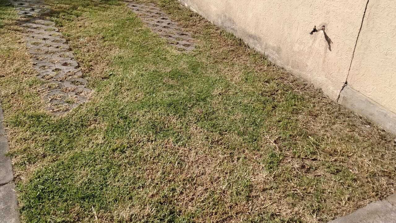 Photo of Outdoor in Chalco de Diaz Covarrubias