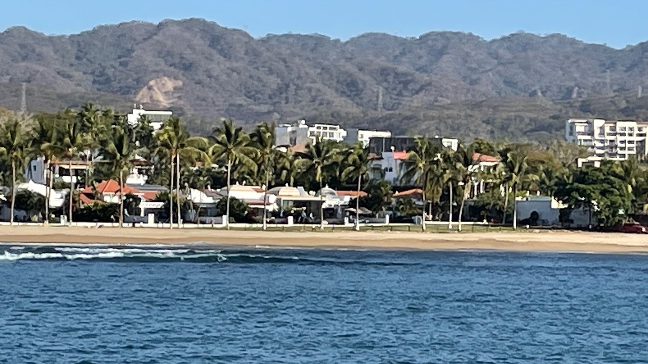 Photo of Others in Flamingos