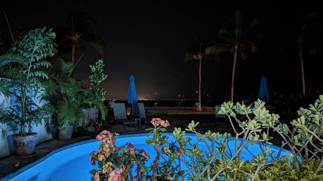 Photo of Outdoor in Flamingos