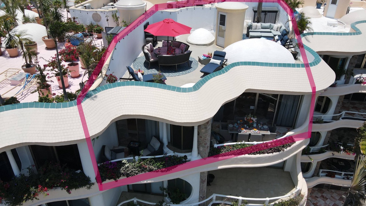 Photo of Others in Flamingos