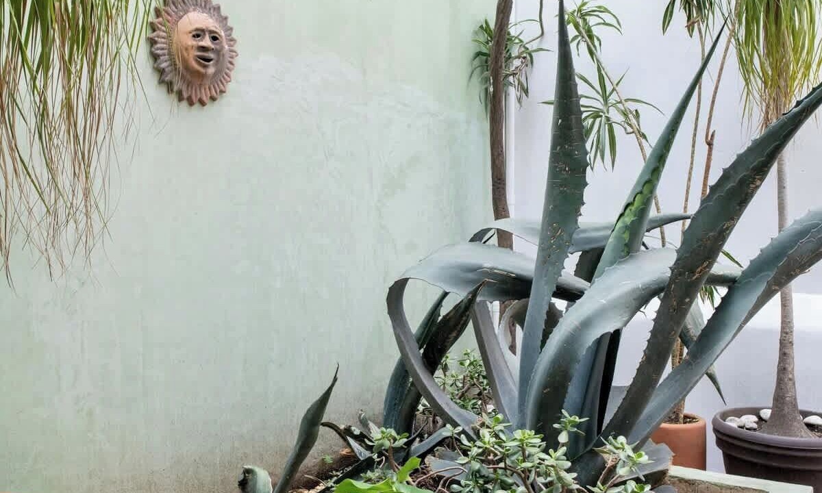 Photo of Outdoor in Polanco
