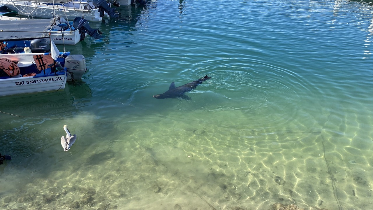 Photo of Others in Marina