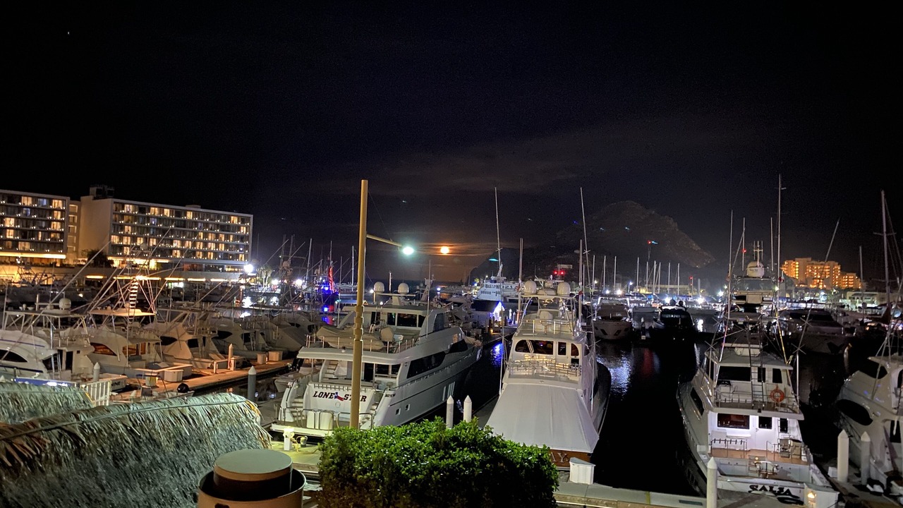 Photo of Others in Marina
