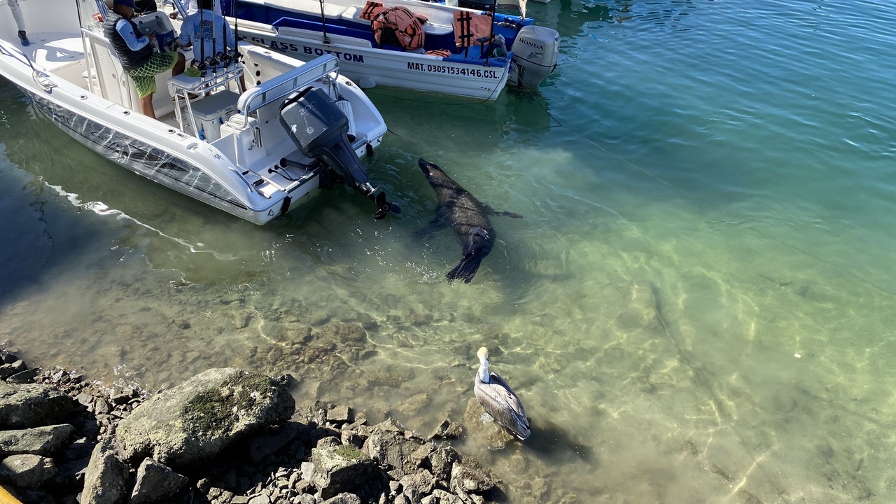 Photo of Others in Marina