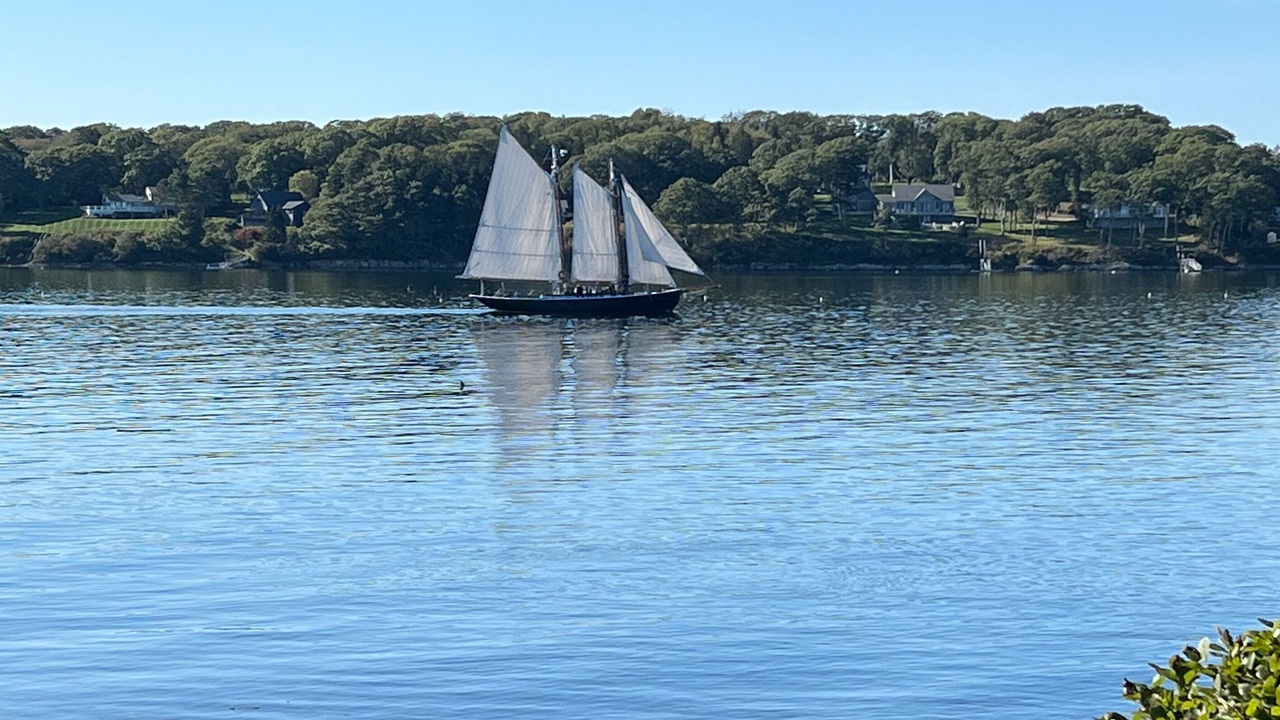 Photo of Others in Mid-Coast and Islands