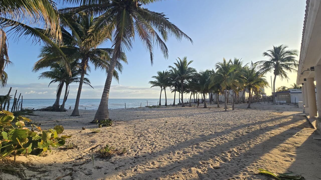 Photo of Others in Yucatan Peninsula