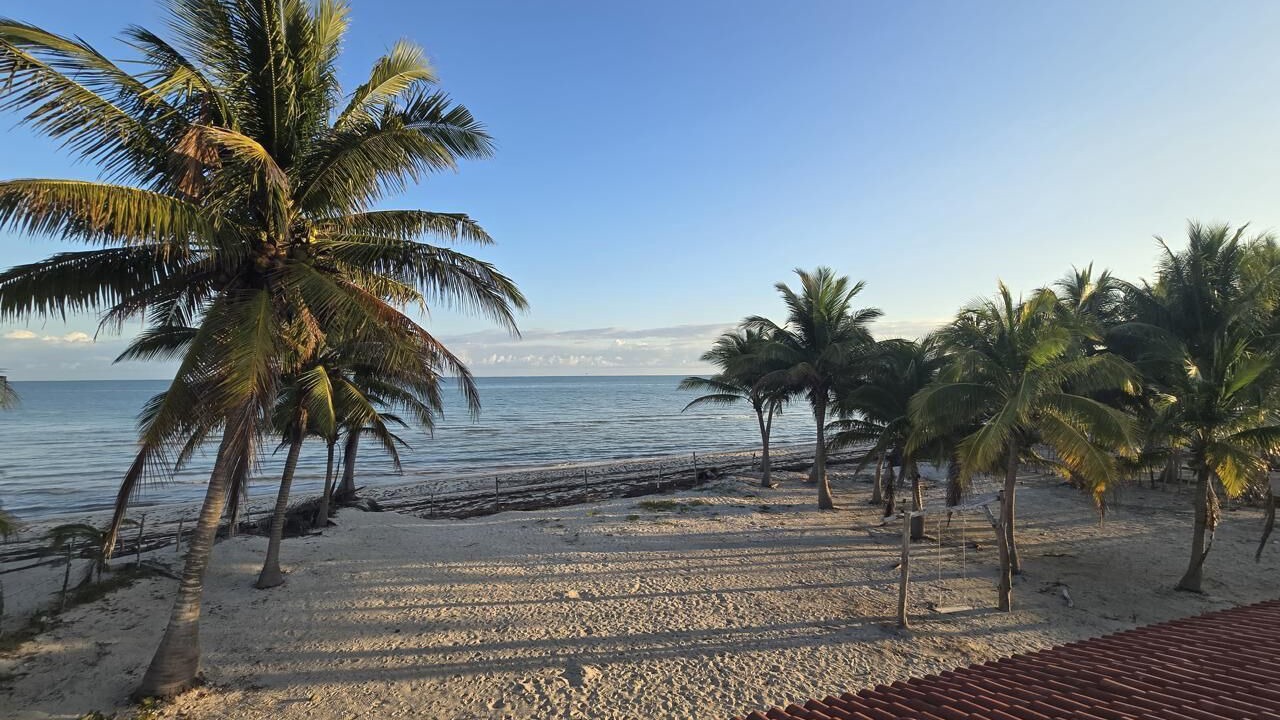 Photo of Others in Yucatan Peninsula