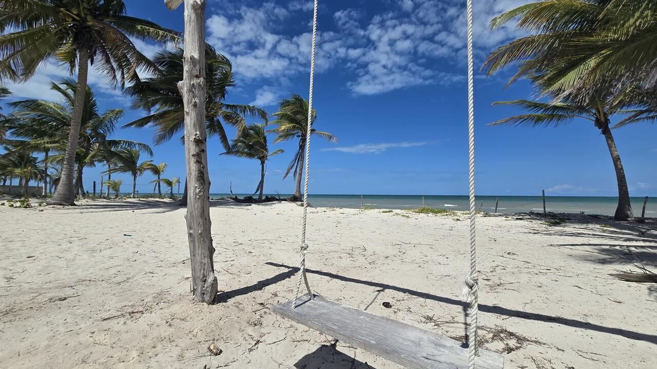 Photo of Others in Yucatan Peninsula