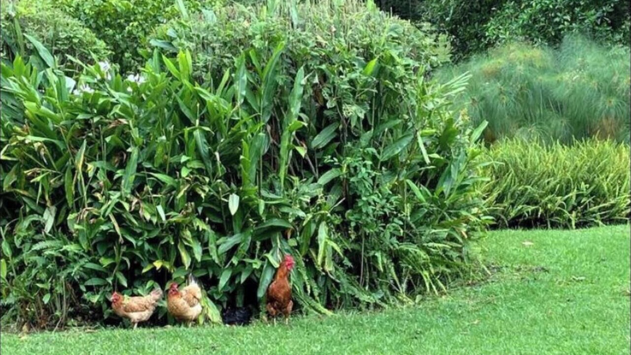 Photo of Others in Xico