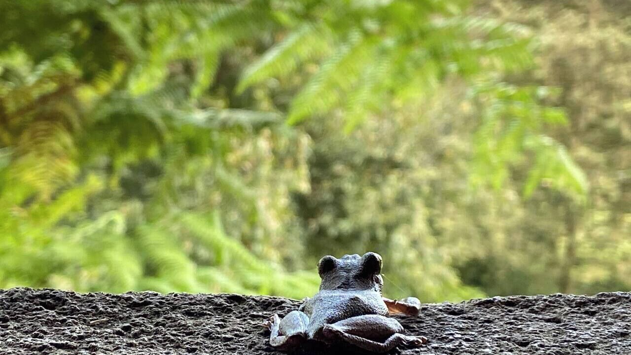 Photo of Others in Xico
