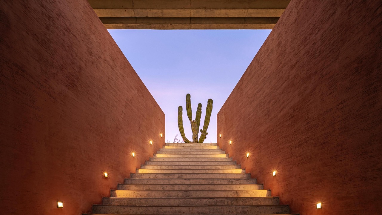 Photo of Outdoor in El Tezal