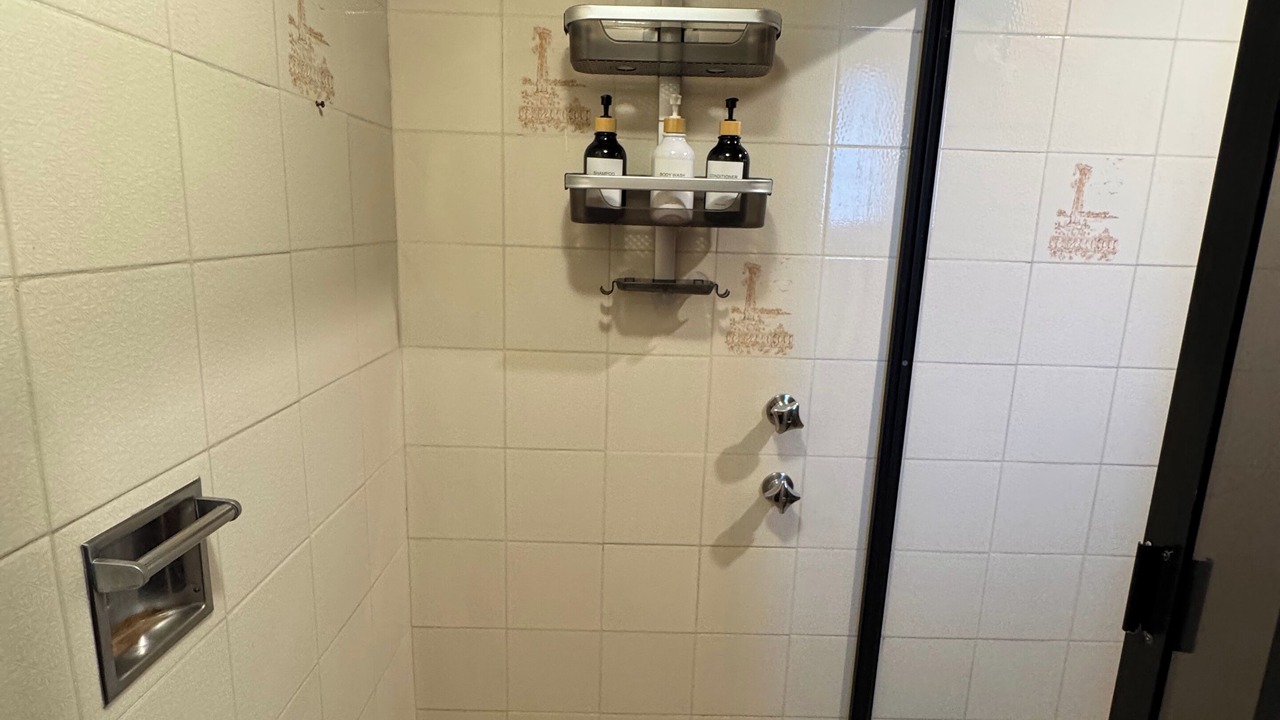Photo of Bathroom in Coyoacan