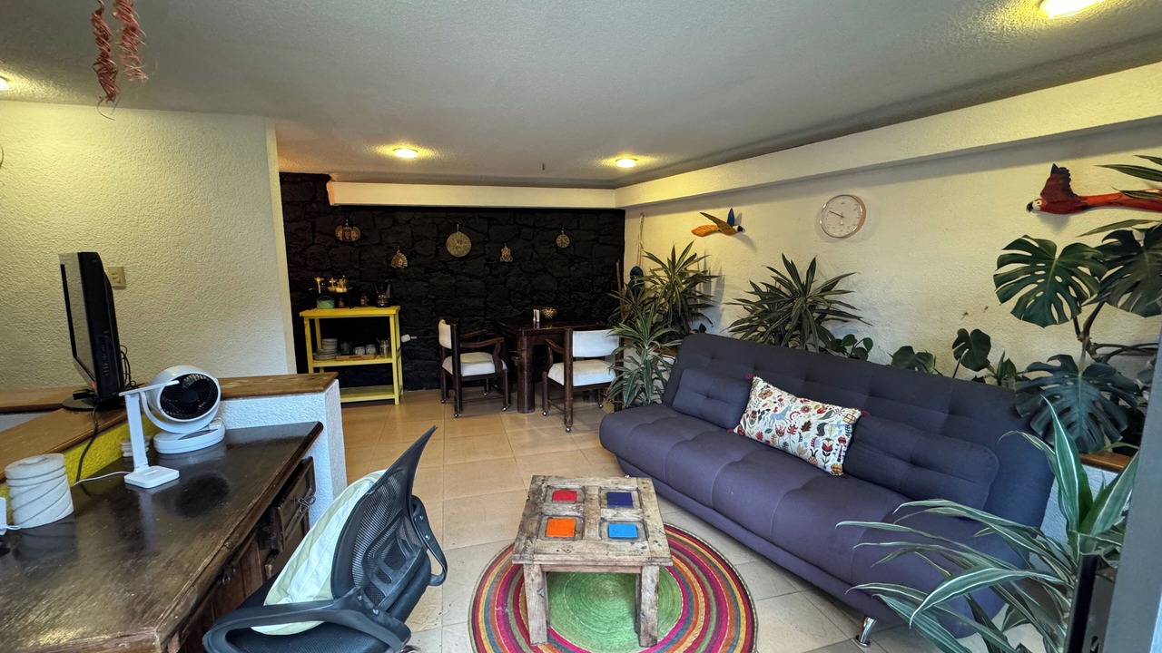 Photo of Livingroom in Coyoacan