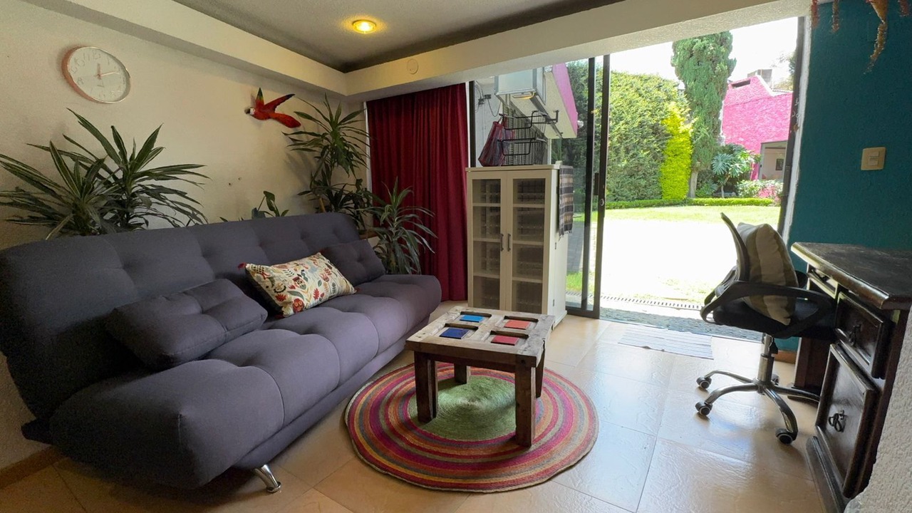 Photo of Livingroom in Coyoacan