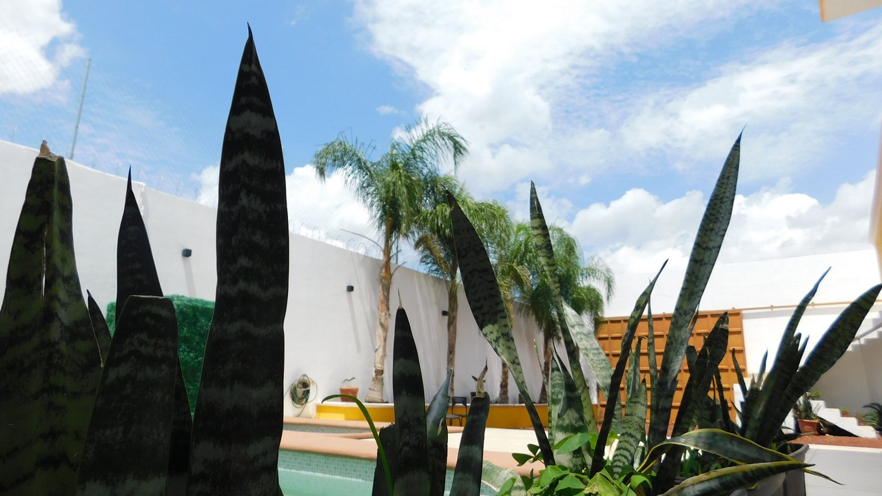 Photo of Outdoor in Tequila