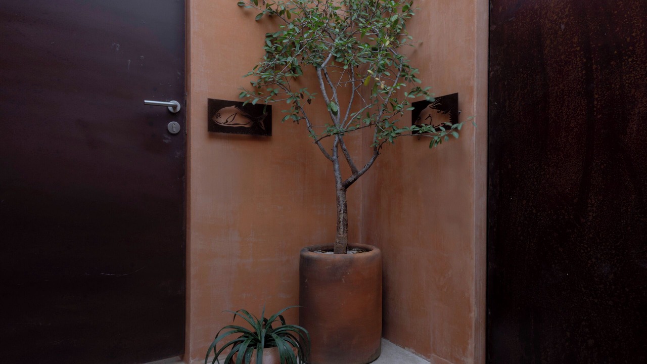 Photo of Outdoor in Progreso Municipality